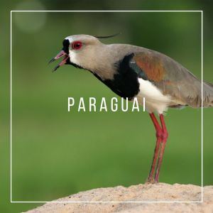 Paraguai