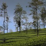 Parc Natural de Periyar
