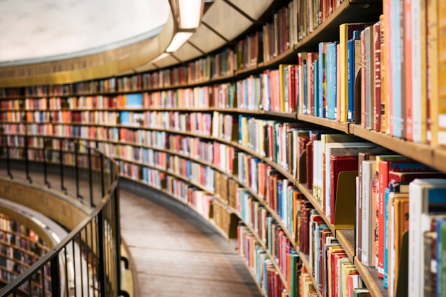 llibres sobre l'Índia