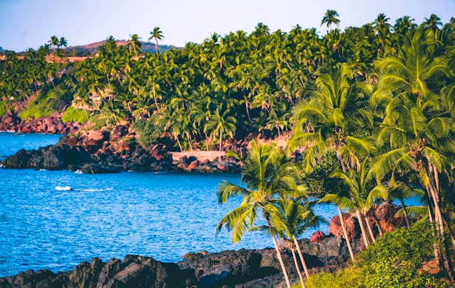 Les millors platges de Goa