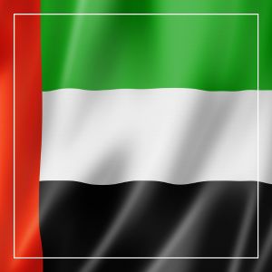 seguretat als emirats